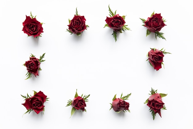 Photo gratuite cadre de roses