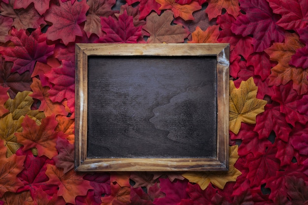 Cadre de tableau rustique sur les feuilles d&#39;automne