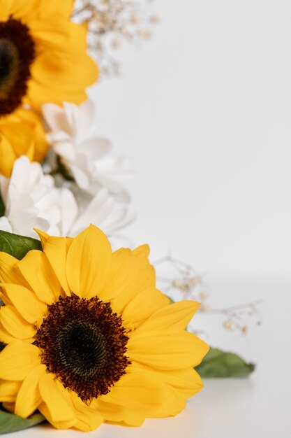 Cadre de tournesol à angle élevé avec espace de copie