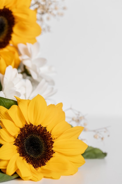 Cadre de tournesol à angle élevé avec espace de copie