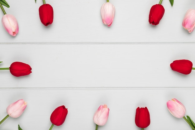 Cadre tulipe rose et rouge avec copie-espace