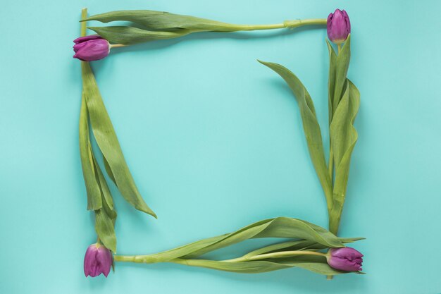 Cadre de tulipes violettes sur la table