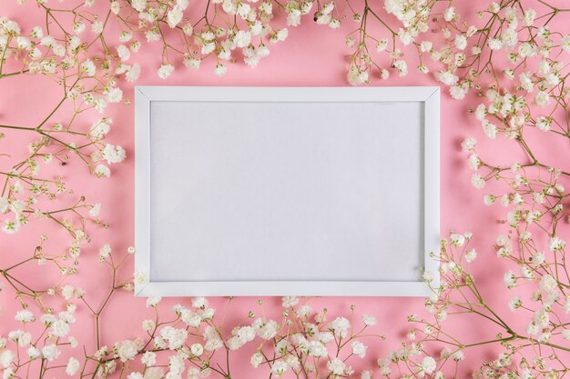 Un cadre vide blanc vide entouré de fleurs de souffle blanc bébé sur fond rose