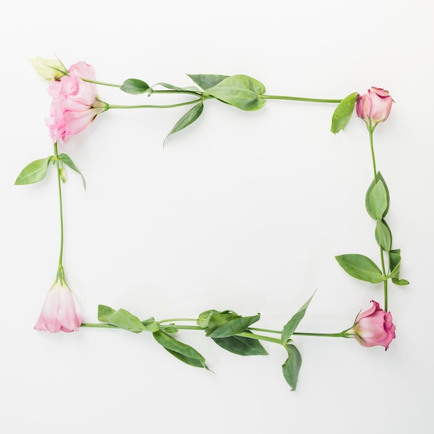 Un cadre vide fait avec des fleurs roses fraîches sur fond blanc