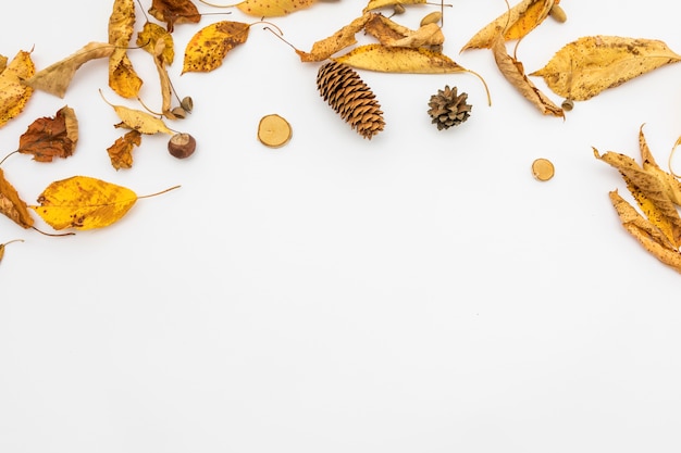 Cadre de vue de dessus avec feuilles et pomme de pin