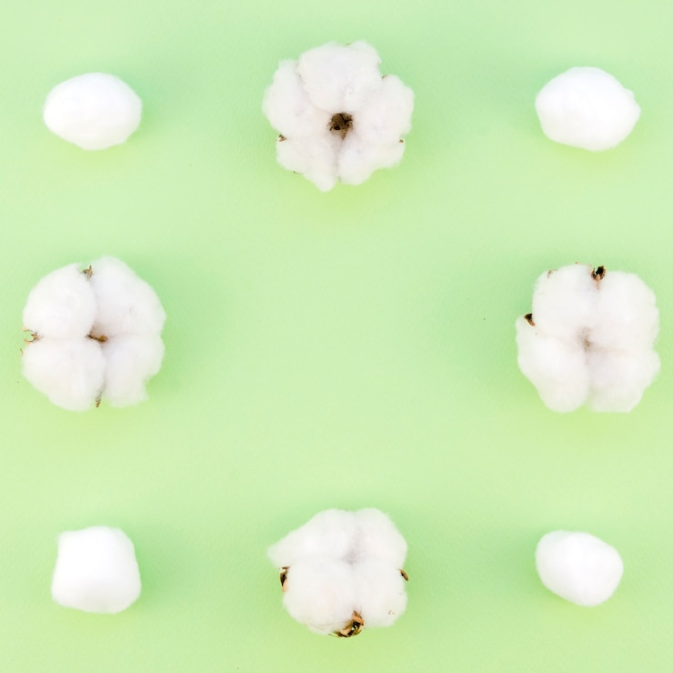 Photo gratuit cadre vue de dessus avec des fleurs en coton et fond vert
