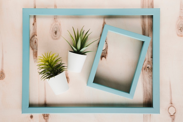 Photo gratuite cadres bleus et plantes avec fond en bois