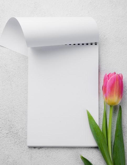 Photo gratuite cahier plat avec des tulipes