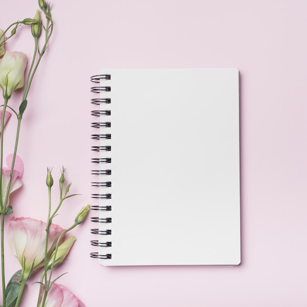 Cahier à spirale blanc avec des fleurs d&#39;eustoma sur fond rose