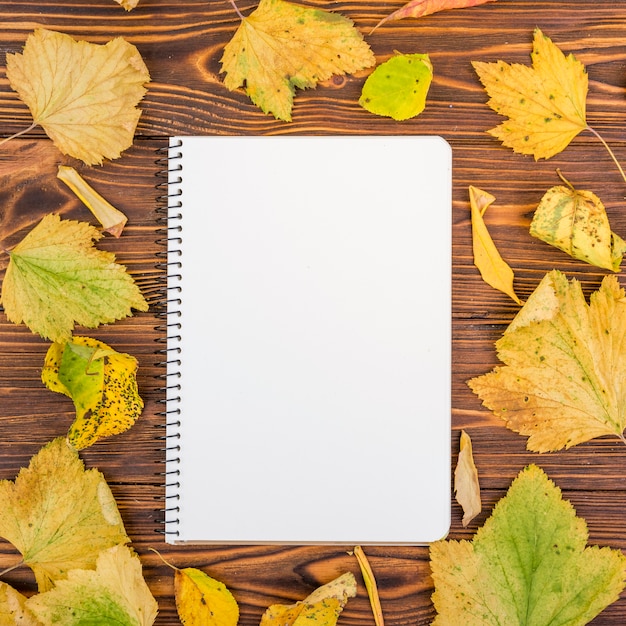 Cahier vue de dessus entouré de feuilles d'automne