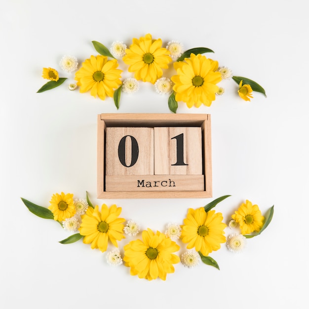Photo gratuite calendrier en bois montrant le 1er mars décoré de fleurs de camomille et de chrysanthème sur fond blanc