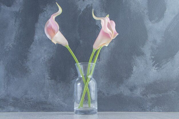 Calla lily dans une cruche, sur le fond de marbre.