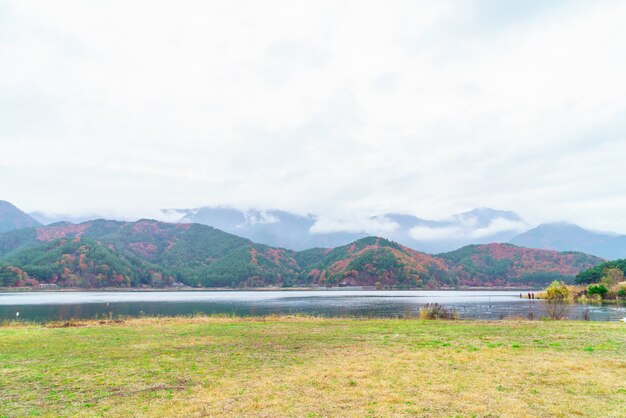 Calme et tranquille Norvège chaude en Scandinavie