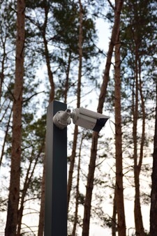 Une caméra de vidéosurveillance est installée sur un poteau dans le parc sur fond d'arbres