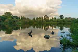 Photo gratuite les canards nageant dans le lac avec des reflets de nuages dans l'eau