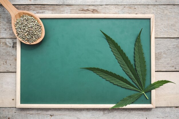 Cannabis, graines de cannabis, feuilles de cannabis, placées sur un tableau vert sur un plancher en bois.