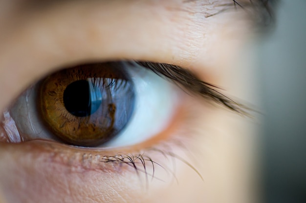 Capture d'écran d'un œil asiatique brun