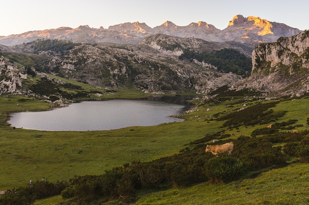 Capture en grand angle du lac Ercina entouré de montagnes rocheuses