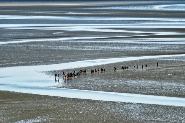 Capture en grand angle d'un groupe de personnes dans un champ capturé pendant la journée