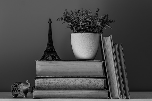 Capture de livres en niveaux de gris