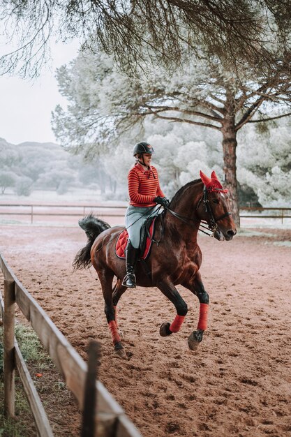 Capture verticale d'une femme de race blanche chevauchant un cheval brun dans l'arène équestre