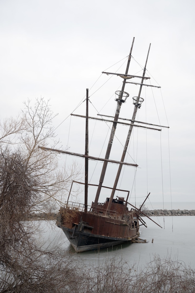 Photo gratuit capture verticale de la grande hermine, lincoln canada