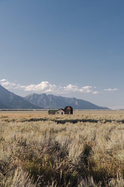 Capture verticale d'une petite maison sur le terrain