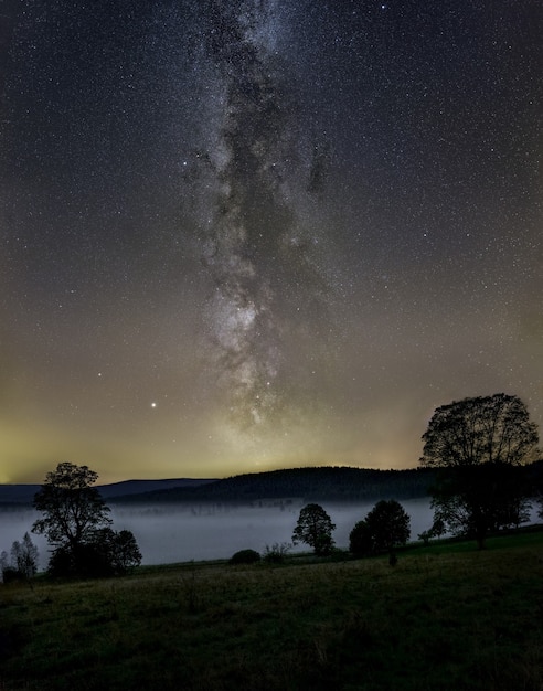 Capture verticale de la Voie lactée dans le ciel au-dessus d'une forêt