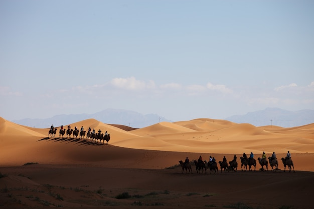 Caravane de chameaux dans un désert au Xinjiang, Chine