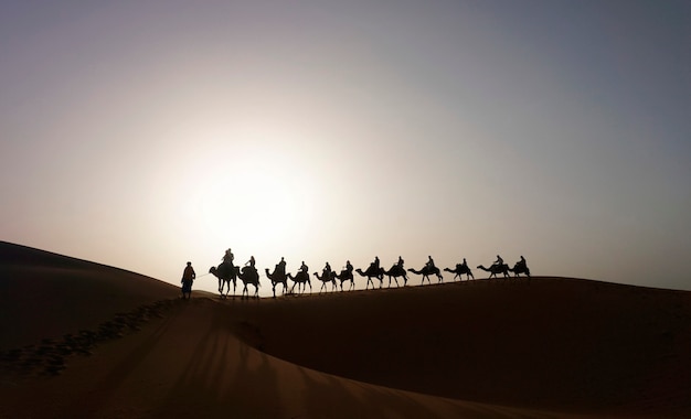 Caravane de chameaux sur la dune de l'Erg Chebbi au Maroc