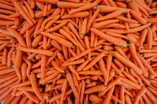 Carottes biologiques fraîches de première qualité