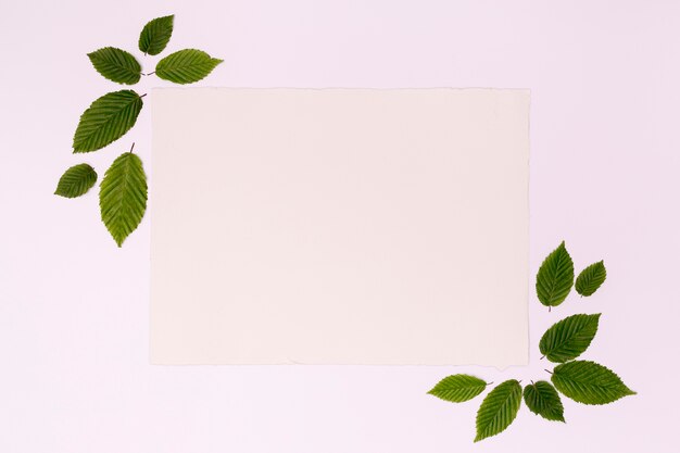 Carte de cadre de maquette avec feuilles