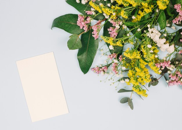 Carte vierge et limonium; tiges d&#39;or jaune ou bouquet de fleurs solidago gigantea et gypsophila sur fond blanc