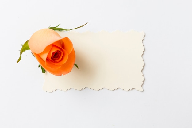 Photo gratuite carte vierge avec des roses