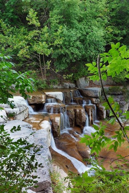 Cascade dans les bois