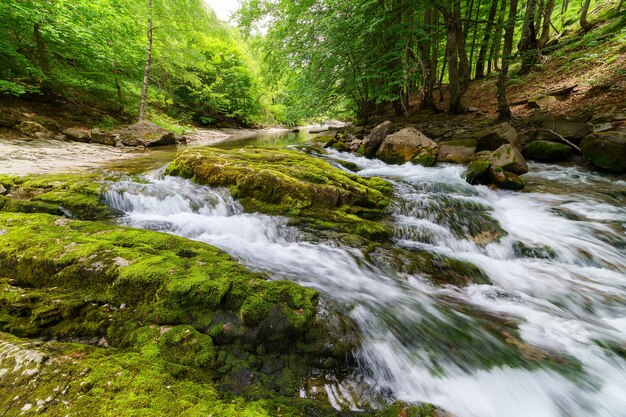Cascade Dans La Rivière Rapide. L'eau Qui Tombe Sur Les Roches Du Sol