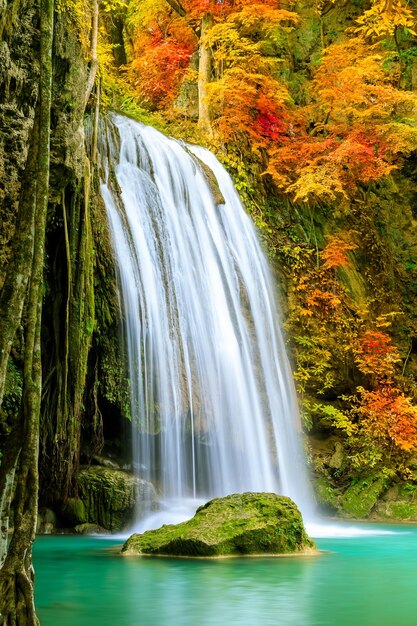 Cascade majestueuse colorée dans la forêt de parc national pendant l'automne