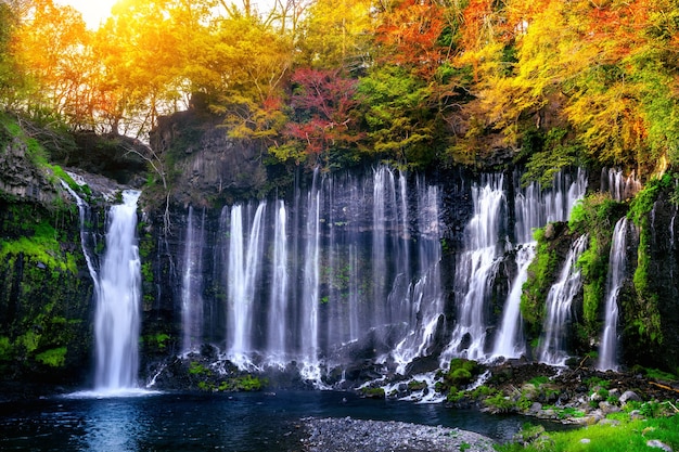 Photo gratuite cascade de shiraito au japon.