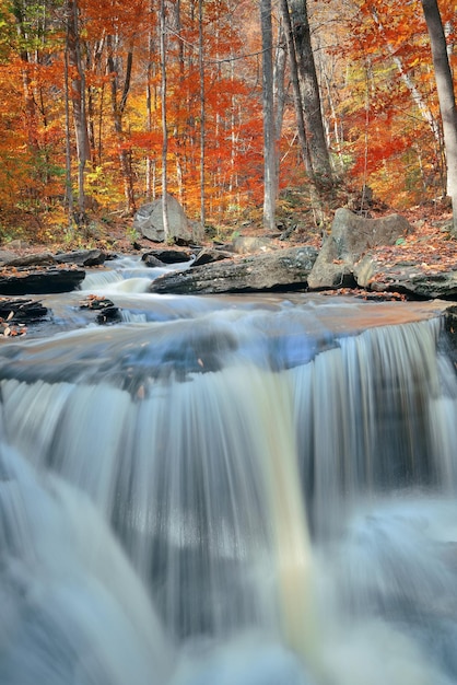 Cascades d'automne dans le parc au feuillage coloré.