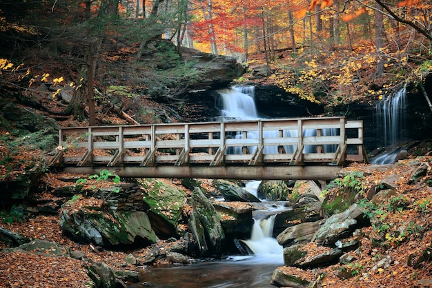 Cascades d'automne dans le parc au feuillage coloré.