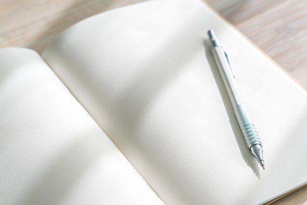 Le catalogue en blanc, les magazines, les livres se moquent avec le stylo sur fond de bois.