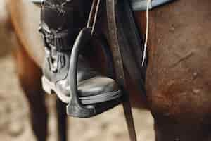 Photo gratuite le cavalier s'entraîne avec le cheval