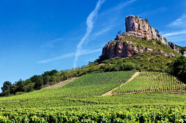 Photo gratuit célèbre solutre rock avec vignobles, bourgogne, france