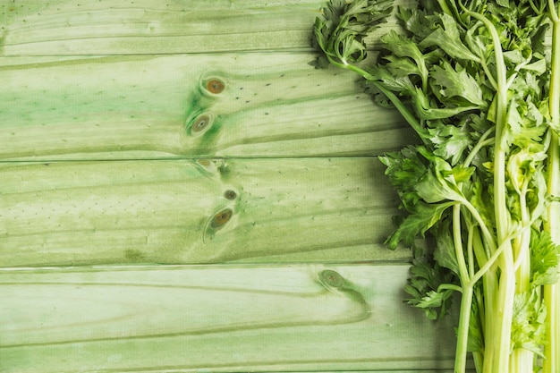 Photo gratuite céleri frais sur une planche de bois verte