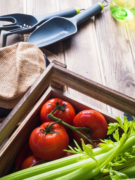 Céleri et tomates rouges fraîches dans une caisse avec des équipements de jardinage