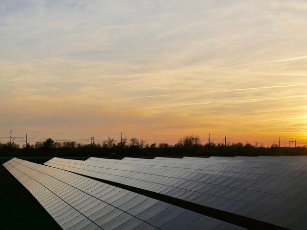 centrale solaire entourée d'arbres