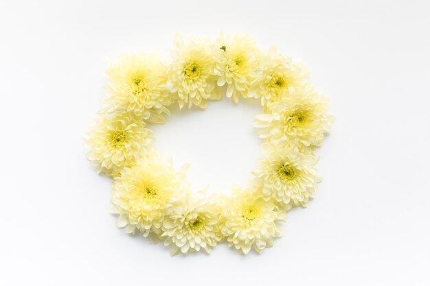 Cercle de marguerites jaunes