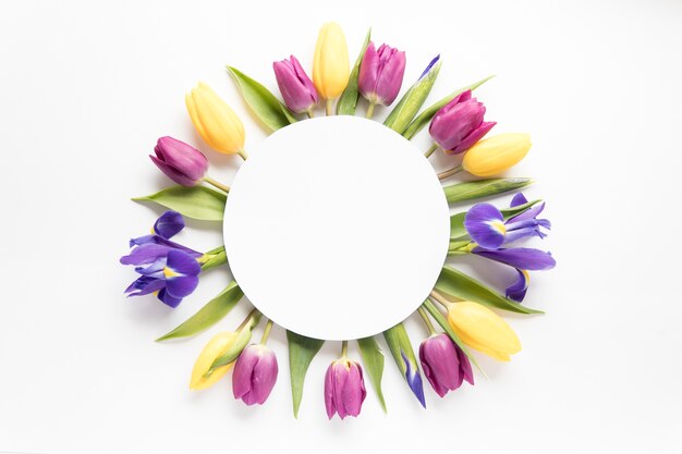 Cercle sur les tulipes et les iris
