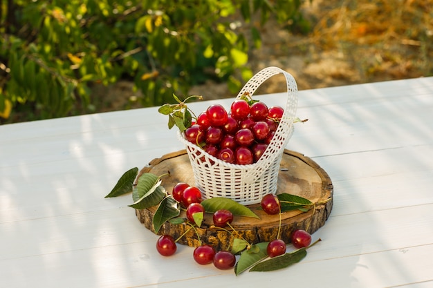 Cerises avec feuilles, planche à découper dans un panier sur fond de bois et jardin, vue grand angle.