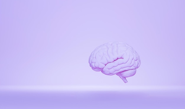 Cerveau minimal sur fond violet pastel cerveau humain modèle anatomique de rendu 3d